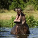 omo valley origin tours