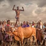 Witnessing the Hamer Bull Jumping Ceremon