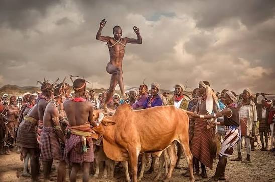 Witnessing the Hamer Bull Jumping Ceremony: A Traveler’s Sacred Tradition