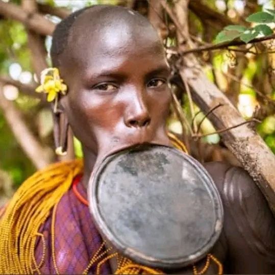 Beyond the Lip Plates: An Insider’s Look at the Indigenous Tribes of Southern Ethiopia
